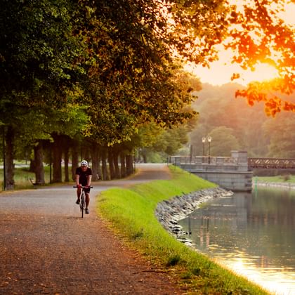 Cyklist cyklar längs trädkantad stig på Djurgården bredvid lugnt vatten med bro i bakgrunden under gyllene solnedgång.
