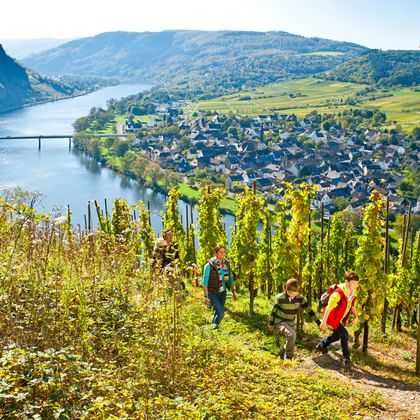 Vandring med panorama på Mosel floden