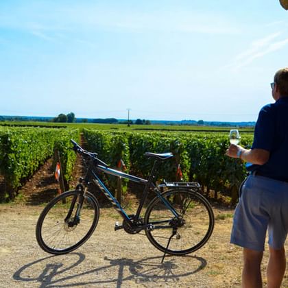 Cykelpaus med vin