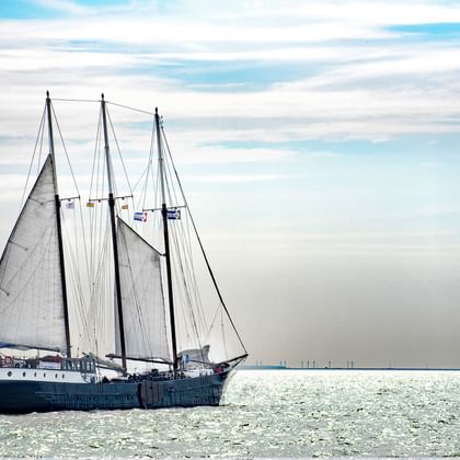 Mare Fan Fryslan
