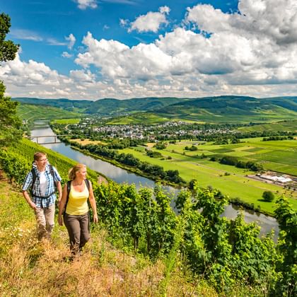Vandring med fantastisk panorama längs Mosel