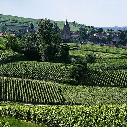 Landskap