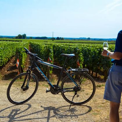 Cykelresor i Frankrike