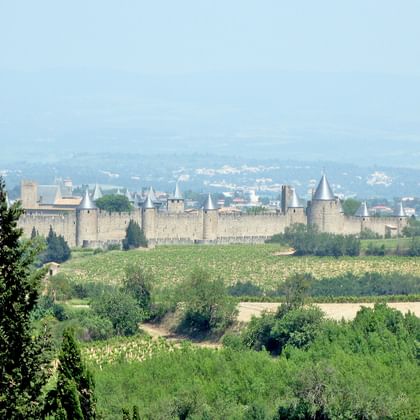 Utsikt över Carcassone