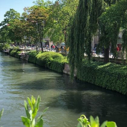 Cykelresor i Alsace