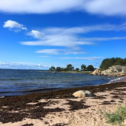 Beach on the island of Sandhamn