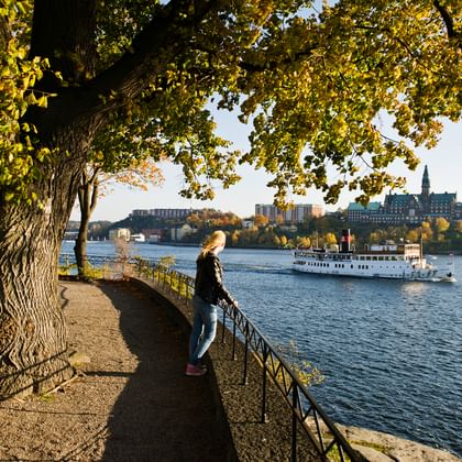 Djurgården