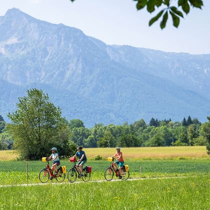 Cyklister nära Salzburg med Untersberg-vy Tre cyklister på röda cyklar cyklar längs en stig genom gröna fält med det dramatiska Untersberg-berget i bakgrunden nära Salzburg.