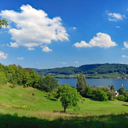 Blick auf grüne Landschaft und den Bodensee