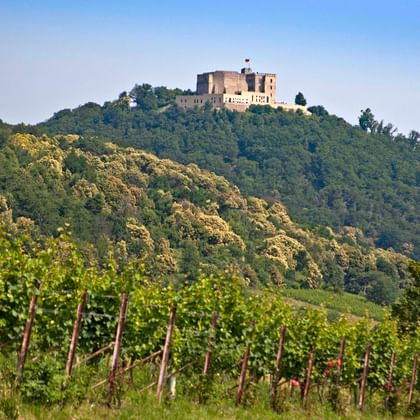Hambach slot