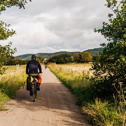 Radfahrer mit orangen Packtaschen auf asphaltiertem Weg durch schwedische Landschaft mit grünen Feldern, Bäumen und Hügeln.