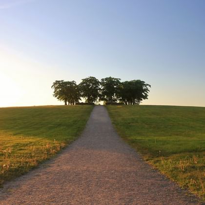UNESCO Weltkulturerbe Skogskyrkogården