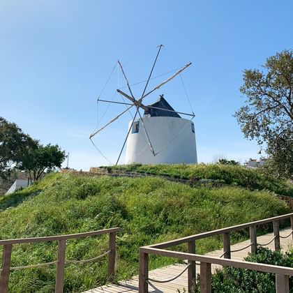 Windmühle beim Wandern im Hinterland des Historischen Weges