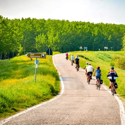 Cykling på landet