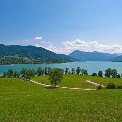 Panorama över Tegernsee