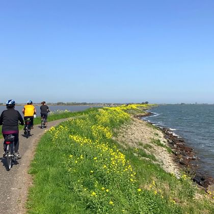 Cyklister vid IJsselmeer