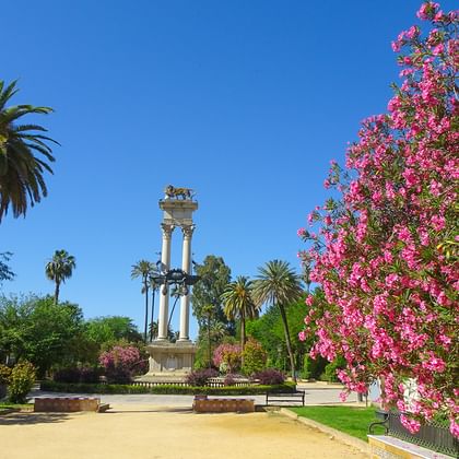 Blommor i Sevilla