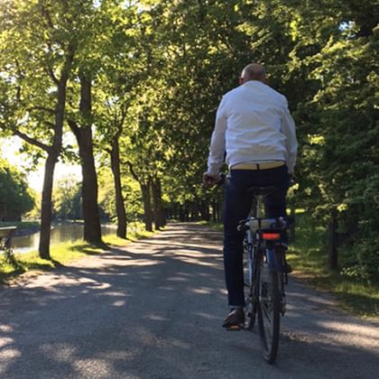 Man i vit tröja cyklar på asfalterad väg genom trädkantad allé på Djurgården i Stockholm med grönt lövverk och bänkar synliga.