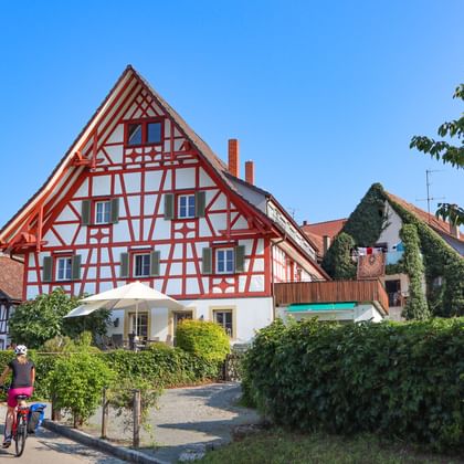 Traditionellt tyskt korsvirkeshus med distinkta röda träbalkar och vita väggar. En cyklist står på en stenlagd väg under blå himmel.