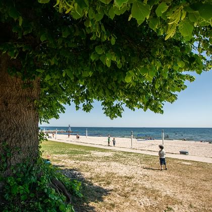 Cykling längs Strandvejen mot Köpenhamn