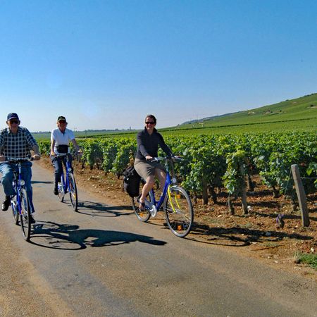Cykling genom vingårdar