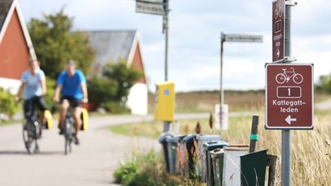 Radwegausschilderung am Kattegattleden