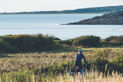 Biking with sea view