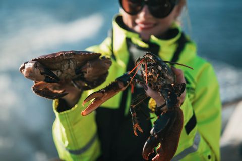 Catching sea food on the island of Hönö