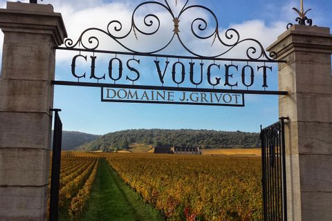 Bourgogne Clos Vougeot