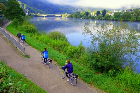 Cykling längs Mosel floden