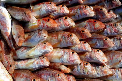 Färsk fisk i Apulien