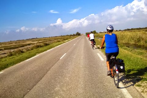 Cykling i Provence och Camargue