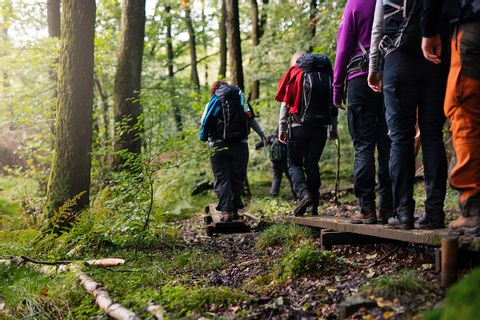 Hikers along Sörmlandsleden