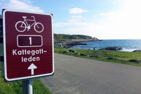 Radwegbeschilderung entlang Schweden's Westküste