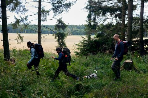 Hikers on their way till Sigtuna