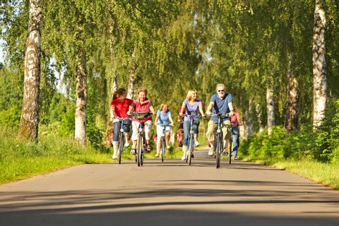 Cykelgrupp på väg längs Weser cykelresa