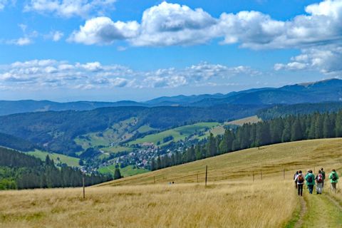 Härligt landskap i Schwarzwald