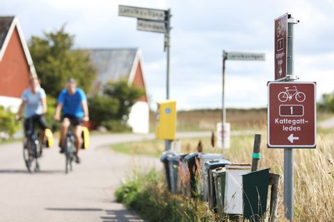 Cyklister längs Kattegattleden