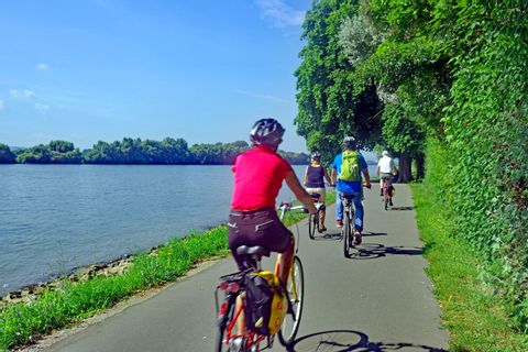 Cykling längs Rhen