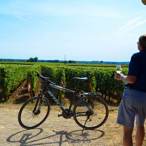 Cykelpaus med vin