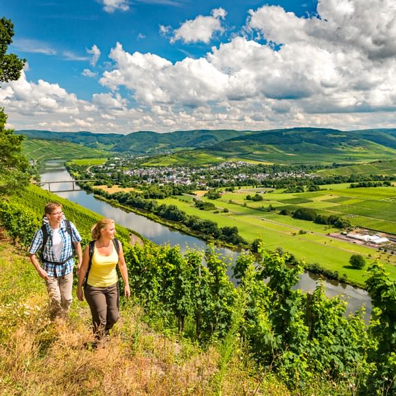 Vandring med fantastisk panorama längs Mosel
