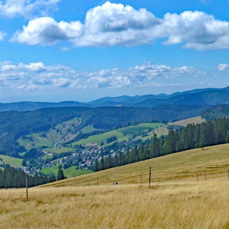Härligt landskap i Schwarzwald