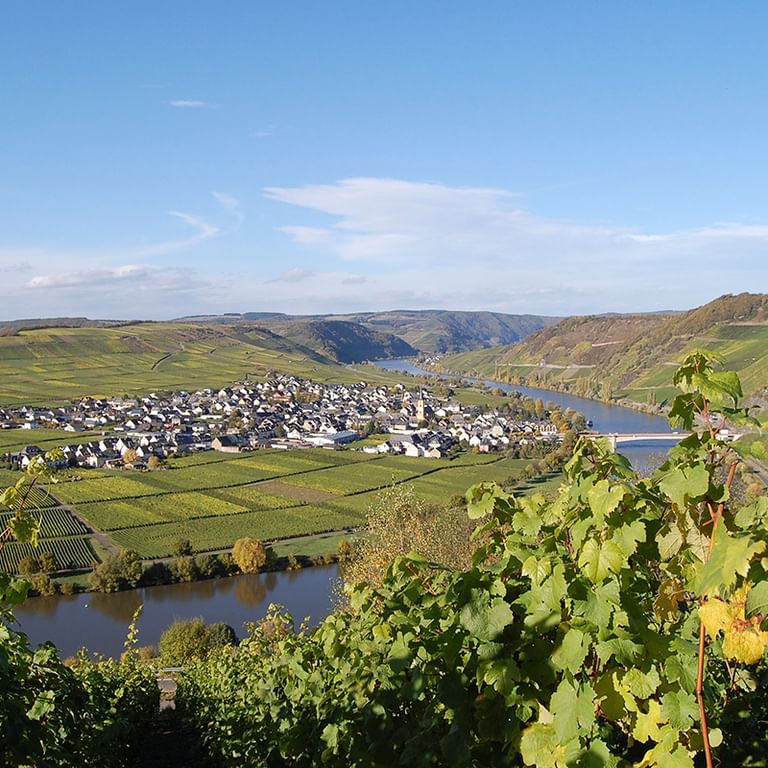 Härlig panorama över Moseldalen