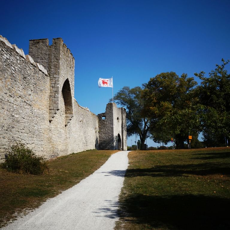 Stadsmur med flagga i Visby