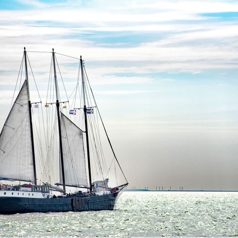 Mare Fan Fryslan