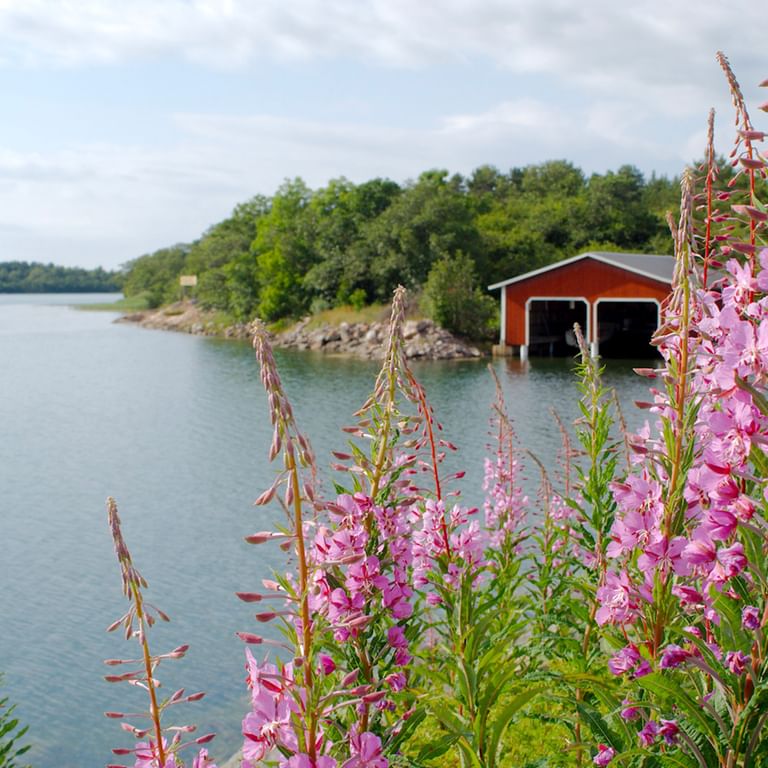 Active holidays in Finland