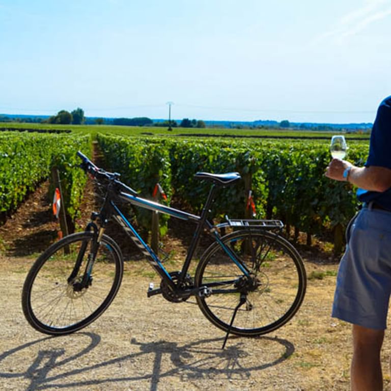 Cykelresor i Frankrike