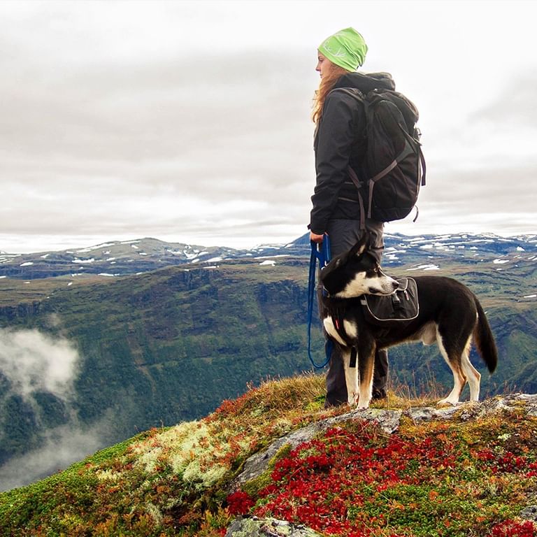 Fantastisk panorama längs vägen