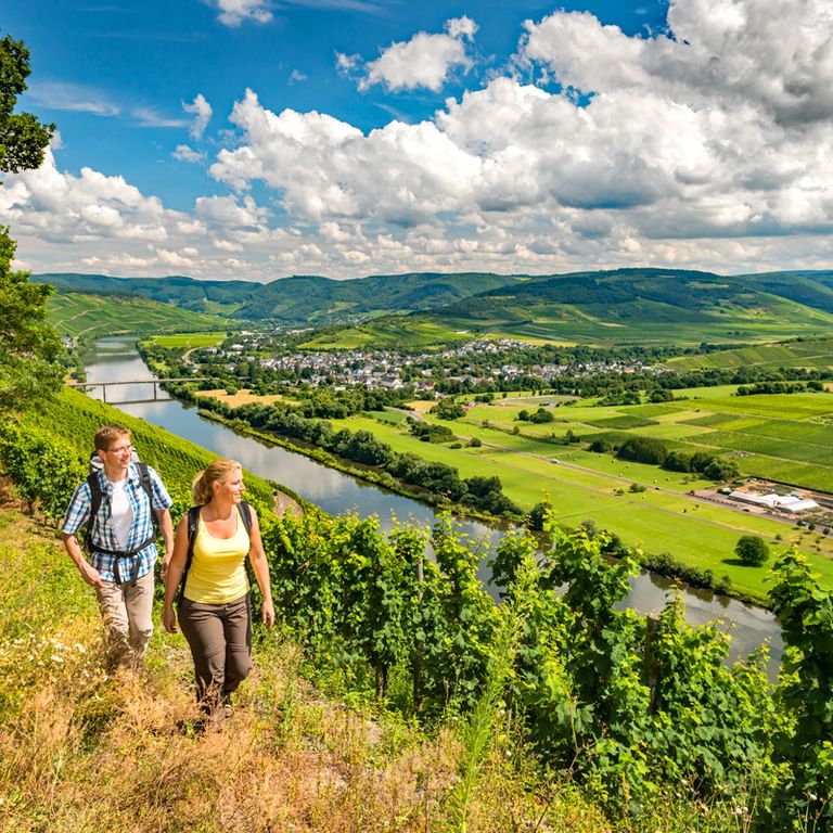 Vandringsled med panoramautsikt längs Mosel