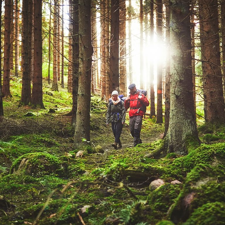 Wanderer im Wald